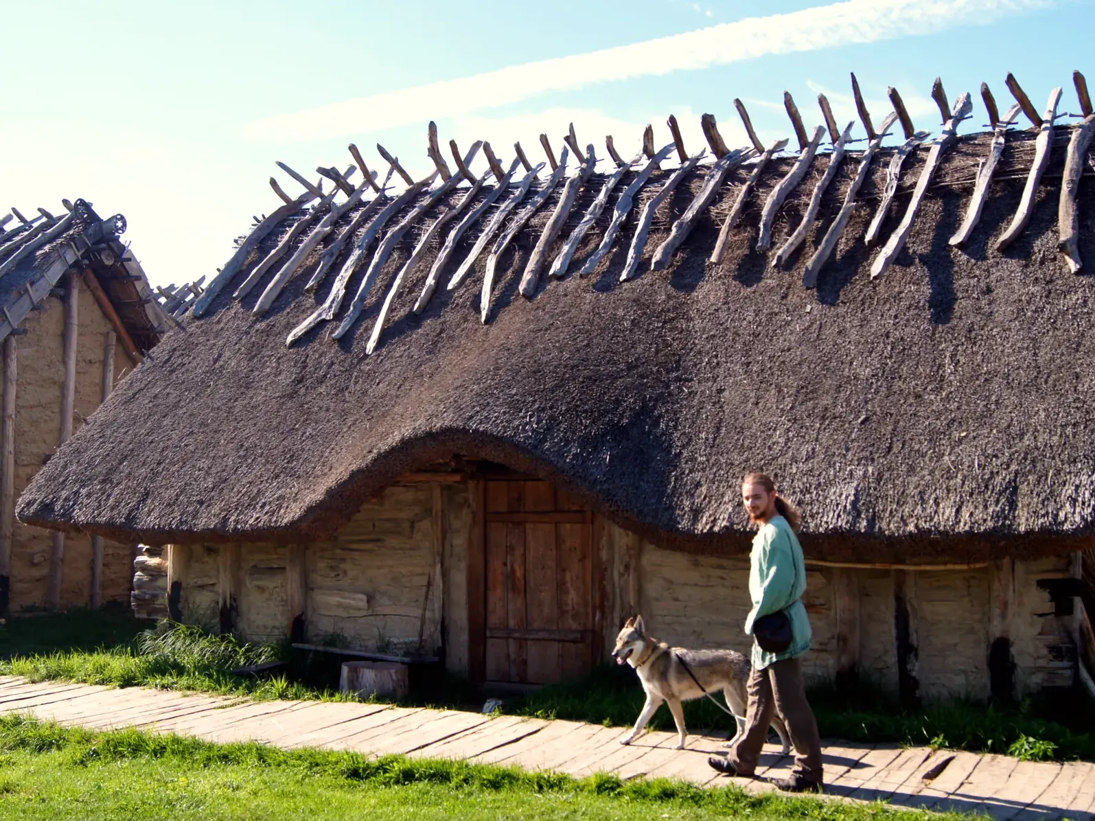 Langhaus mit Hund